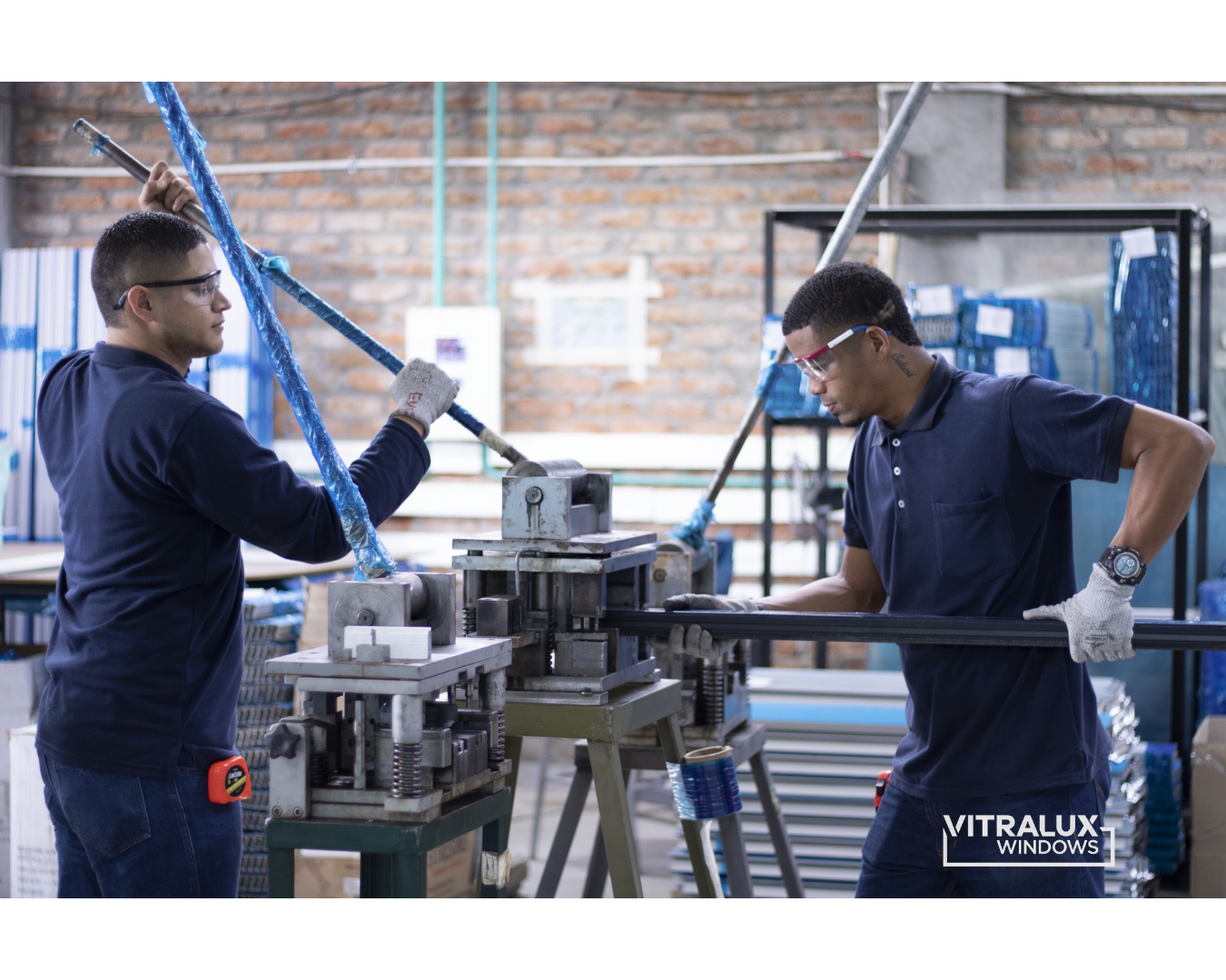 Vitralux Windows Contact